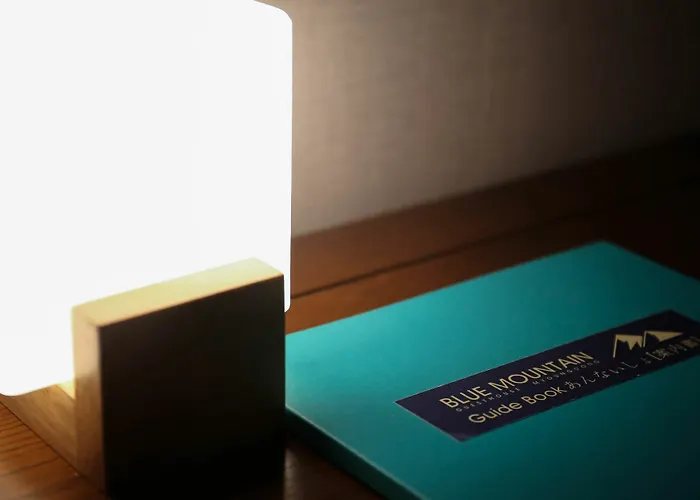 Blue Mountain Myeong-dong Gasthuis 3*