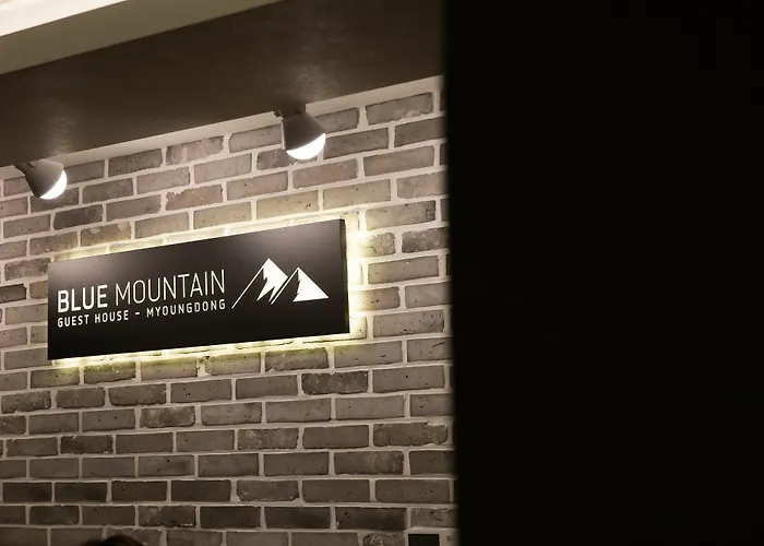 Gasthuis Blue Mountain Myeong-dong Seoel